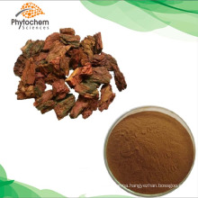 supplement blood pressure pine bark extract dosage Super powder